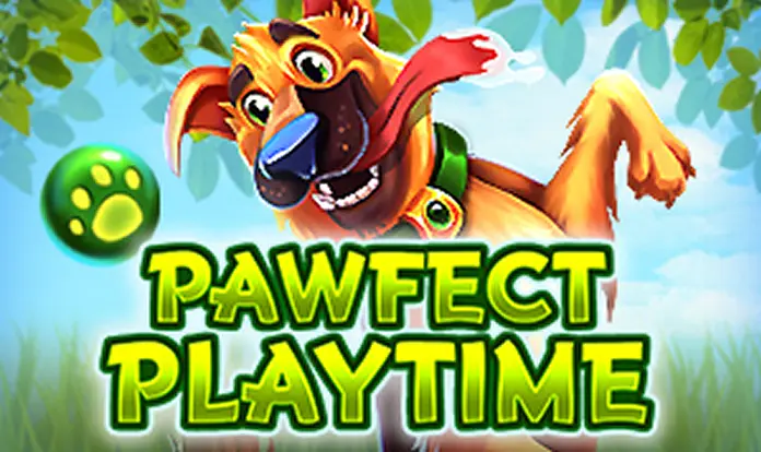 Pawfect Playtime